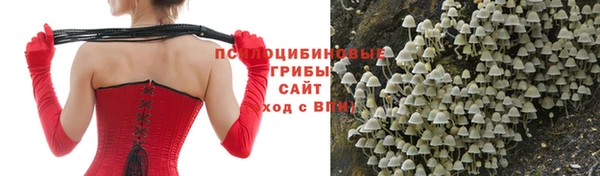 индика Балахна