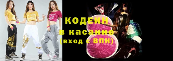 прущие грибы Арсеньев
