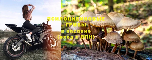 индика Балахна