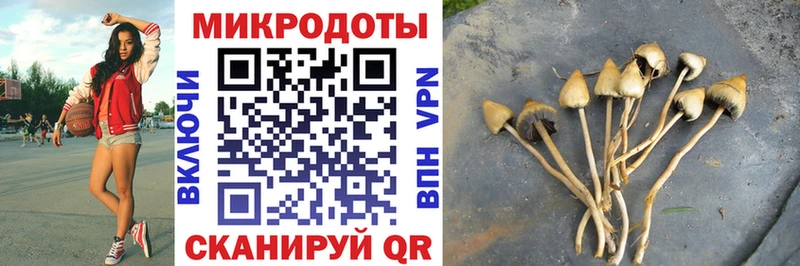 Галлюциногенные грибы Psilocybe  это клад  Таруса  цены  